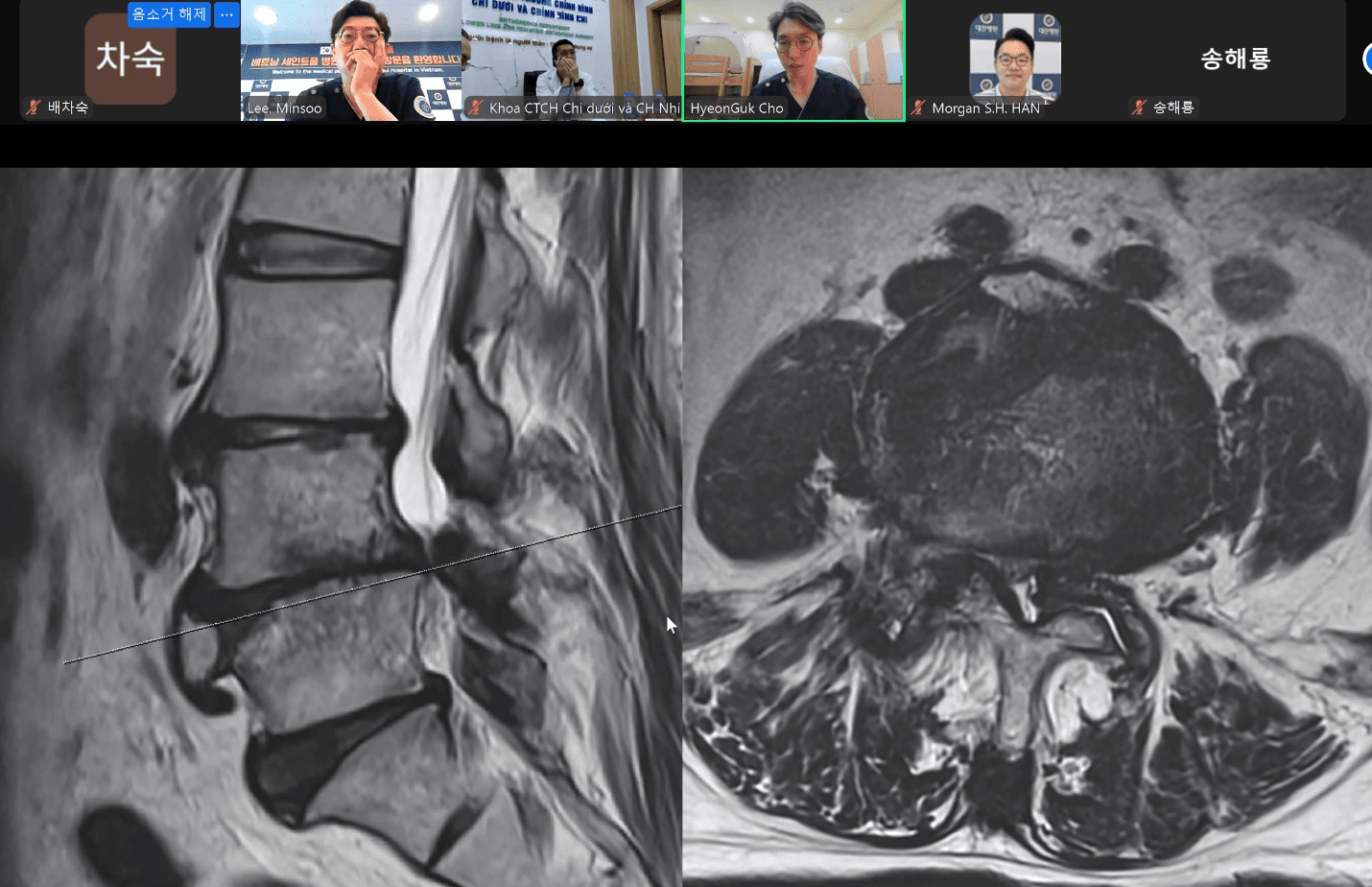 온라인 의료영상 세미나